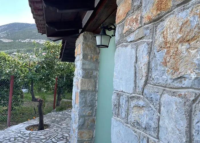 Citrus Garden