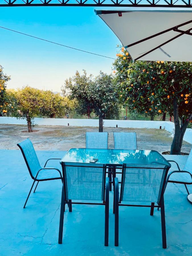 Citrus Garden