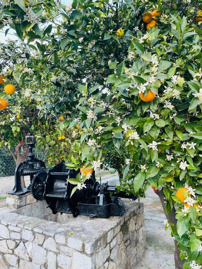 Citrus Garden Villa *