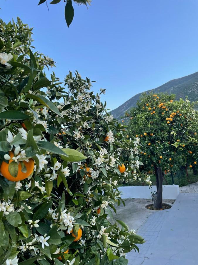 Citrus Garden Villa