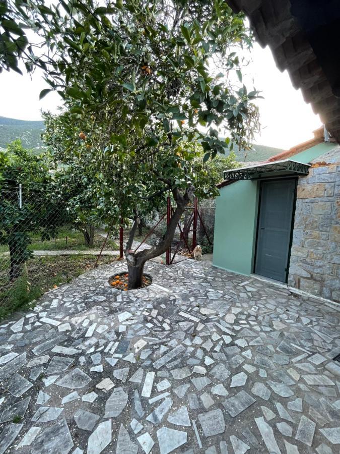 Citrus Garden Villa *