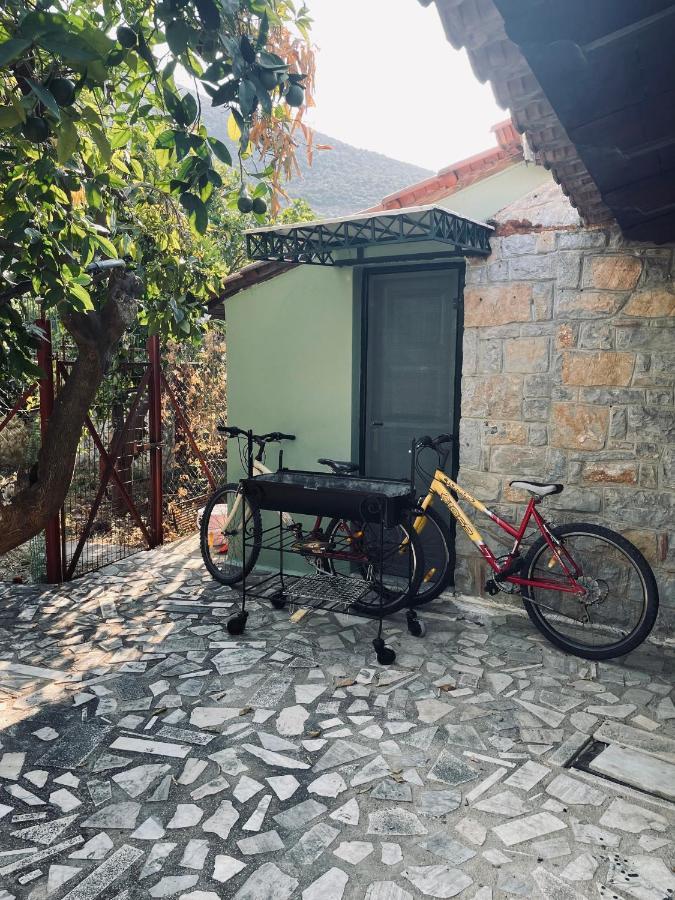 Citrus Garden Villa